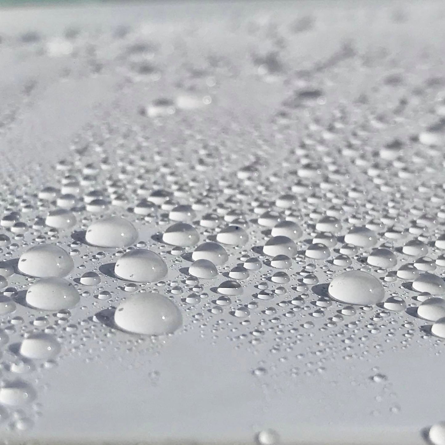 Optic Show Wax 50ml - Infinity Wax