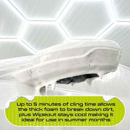 Wipeout Snowfoam