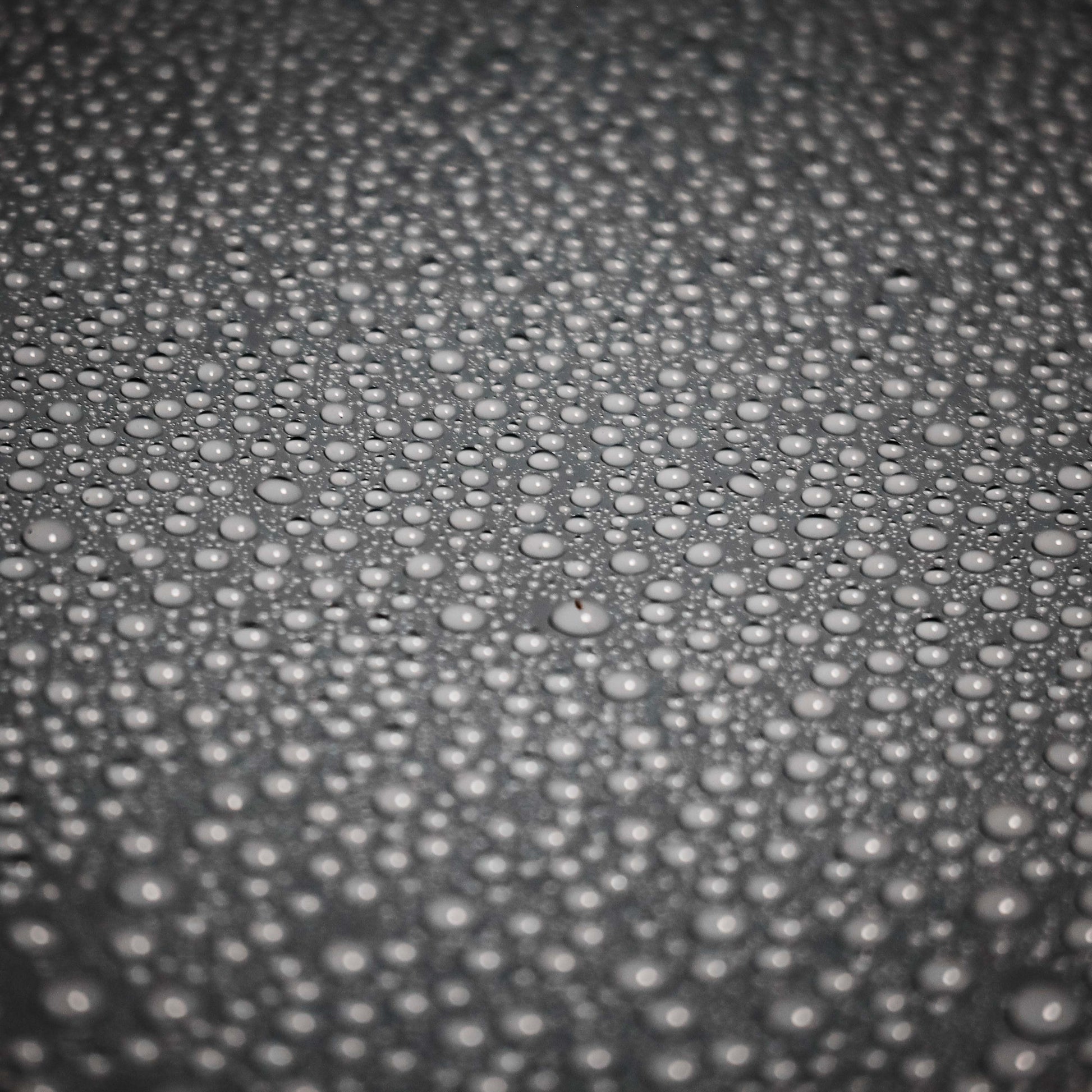 QDX Graphene V2 - Infinity Wax